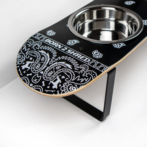 Pawsley Skatebowl Medium Dog Feeder | Raised Skateboard Dog Bowl Stand, Stainless Steel Bowls